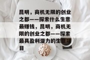 昆明,商机无限的创业之都——探索什么生意最赚钱,昆明,商机无限的创业之都——探索最具盈利潜力的生意项目