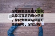 深度探索流量较大的网站及其背后的商业逻辑，探秘大型网站背后的商业策略，深度分析