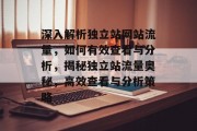 深入解析独立站网站流量，如何有效查看与分析，揭秘独立站流量奥秘，高效查看与分析策略