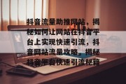 抖音流量助推网站，揭秘如何让网站在抖音平台上实现快速引流，抖音网站流量攻略，揭秘抖音平台快速引流秘籍