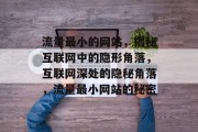 流量最小的网站，揭秘互联网中的隐形角落，互联网深处的隐秘角落，流量最小网站的秘密