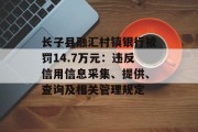 长子县融汇村镇银行被罚14.7万元：违反信用信息采集、提供、查询及相关管理规定