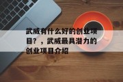 武威有什么好的创业项目?,武威最具潜力的创业项目介绍 武威有什么好的创业项目?,武威最具潜力的创业项目介绍