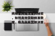 揭秘查网站流量的秘密,如何高效获取精准数据,助力企业营销决策 揭秘查网站流量的秘密,如何高效获取精准数据,助力企业营销决策
