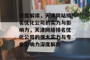 深度解读，天津网站排名优化公司的实力与影响力，天津网络排名优化公司的强大实力与专业影响力深度解析