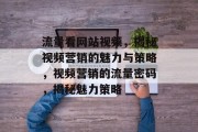 流量看网站视频，揭秘视频营销的魅力与策略，视频营销的流量密码，揭秘魅力策略