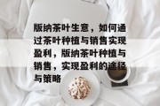 版纳茶叶生意,如何通过茶叶种植与销售实现盈利,版纳茶叶种植与销售,实现盈利的途径与策略 版纳茶叶生意,如何通过茶叶种植与销售实现盈利,版纳茶叶种植与销售,实现盈利的途径与策略