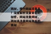 揭秘，哪个网站流量高？深度解析流量背后的秘密，网站流量揭秘，揭秘高流量网站背后的奥秘