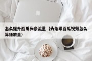 怎么提升西瓜头条流量（头条跟西瓜视频怎么算播放量）