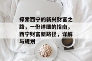 探索西宁的新兴财富之路,一份详细的指南,西宁财富新路径,详解与规划 探索西宁的新兴财富之路,一份详细的指南,西宁财富新路径,详解与规划