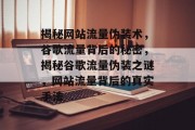 揭秘网站流量伪装术，谷歌流量背后的秘密，揭秘谷歌流量伪装之谜，网站流量背后的真实手法