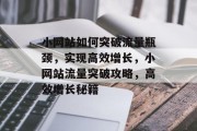 小网站如何突破流量瓶颈，实现高效增长，小网站流量突破攻略，高效增长秘籍