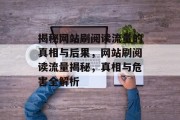 揭秘网站刷阅读流量的真相与后果，网站刷阅读流量揭秘，真相与危害全解析