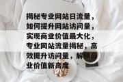 揭秘专业网站日流量，如何提升网站访问量，实现商业价值最大化，专业网站流量揭秘，高效提升访问量，解锁商业价值新高度