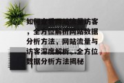 如何查看网站流量访客，全方位解析网站数据分析方法，网站流量与访客深度解析，全方位数据分析方法揭秘