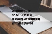 Wedbush:iPhone 16系列首周销量乐观 苹果股价新一轮涨势开启 Wedbush:iPhone 16系列首周销量乐观 苹果股价新一轮涨势开启