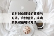 农村创业赚钱的策略与方法,农村创业,成功的关键策略和方法