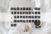 网站靠流量崛起，揭秘流量背后的秘密与策略，流量背后的崛起奥秘，揭秘网站流量策略与秘密