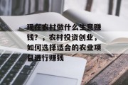 现在农村做什么生意赚钱?,农村投资创业,如何选择适合的农业项目进行赚钱