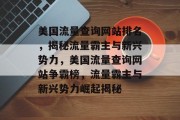 美国流量查询网站排名，揭秘流量霸主与新兴势力，美国流量查询网站争霸榜，流量霸主与新兴势力崛起揭秘