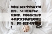 如何在网页中隐藏关键信息，SEO策略的深度探索，如何通过技术手段优化网站的关键信息，提升搜索引擎排名？