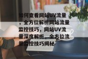 如何查看网站UV流量，全方位解析网站流量监控技巧，网站UV流量深度解析，全方位流量监控技巧揭秘