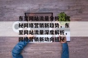 东至网站流量分析，揭秘网络营销新趋势，东至网站流量深度解析，网络营销新动向揭秘