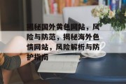 揭秘国外黄色网站，风险与防范，揭秘海外色情网站，风险解析与防护指南