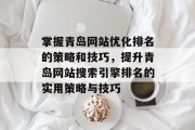 掌握青岛网站优化排名的策略和技巧，提升青岛网站搜索引擎排名的实用策略与技巧