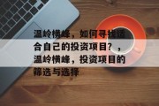 温岭横峰,如何寻找适合自己的投资项目?,温岭横峰,投资项目的筛选与选择 温岭横峰,如何寻找适合自己的投资项目?,温岭横峰,投资项目的筛选与选择