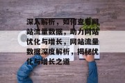 深入解析，如何查看网站流量数据，助力网站优化与增长，网站流量数据深度解析，揭秘优化与增长之道