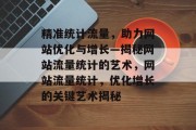 精准统计流量，助力网站优化与增长—揭秘网站流量统计的艺术，网站流量统计，优化增长的关键艺术揭秘