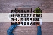揭秘网络陷阱，进错网站导致流量飙升背后的真相，网络陷阱揭秘，流量飙升真相大曝光