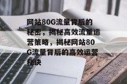 网站80G流量背后的秘密，揭秘高效流量运营策略，揭秘网站80G流量背后的高效运营秘诀