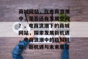 商城网站，在电商浪潮中，是否还有发展空间？，电商浪潮下的商城网站，探索发展新机遇，电商浪潮中的商城网站，新机遇与未来展望