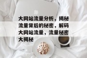大网站流量分析，揭秘流量背后的秘密，解码大网站流量，流量秘密大揭秘