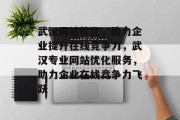 武汉网站优化，助力企业提升在线竞争力，武汉专业网站优化服务，助力企业在线竞争力飞跃