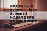 网站无法走Burp流量，原因分析及解决方案，Burp Suite流量无法正常传输网站原因排查与应对策略
