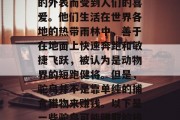 驼鸟是一种鸟类，因其独特的生活习性和优雅的外表而受到人们的喜爱。他们生活在世界各地的热带雨林中，善于在地面上快速奔跑和敏捷飞跃，被认为是动物界的短跑健将。但是，驼鸟并不是靠单纯的捕食猎物来赚钱。以下是一些驼鸟可能赚取的钱。，驼鸟，如何通过他们的生活习性赚取财富