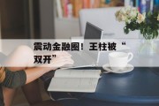 震动金融圈!王柱被“双开” 震动金融圈!王柱被“双开”