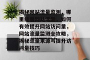 揭秘网站流量监测，哪里能看网站流量，如何有效提升网站访问量，网站流量监测全攻略，揭秘流量来源与提升访问量技巧