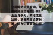 公司网站流量查询，掌握网站运营脉搏，提升企业竞争力，精准流量监控，掌握网站运营脉搏，助力企业竞争力提升