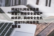 揭秘SSL网站偷流量黑幕，网络安全面临严峻挑战，网络安全危机，揭秘SSL网站偷流量黑幕