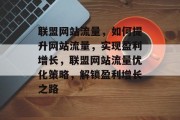联盟网站流量，如何提升网站流量，实现盈利增长，联盟网站流量优化策略，解锁盈利增长之路