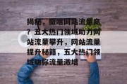 揭秘，做啥网站流量高？五大热门领域助力网站流量攀升，网站流量提升秘籍，五大热门领域助你流量激增