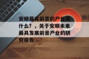 安顺最有前景的产业是什么?,关于安顺未来最具发展前景产业的研究报告 安顺最有前景的产业是什么?,关于安顺未来最具发展前景产业的研究报告