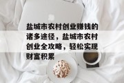盐城市农村创业赚钱的诸多途径,盐城市农村创业全攻略,轻松实现财富积累