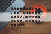 揭秘查网站流量的方法，全方位解析网站流量监测技巧，网站流量监测全攻略，揭秘高效流量监测技巧