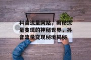 抖音流量网站，揭秘流量变现的神秘世界，抖音流量变现秘境揭秘