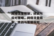 网络流量限制，挑战与应对策略，网络流量限制，挑战与策略应对